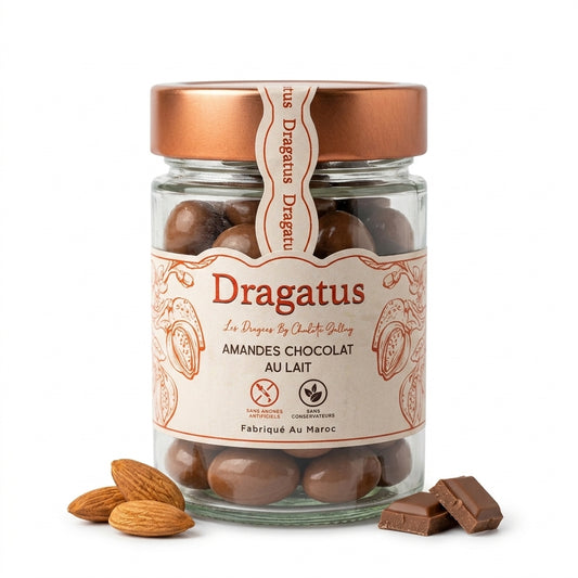 Dragées Amandes Chocolat au Lait — Dragatus
